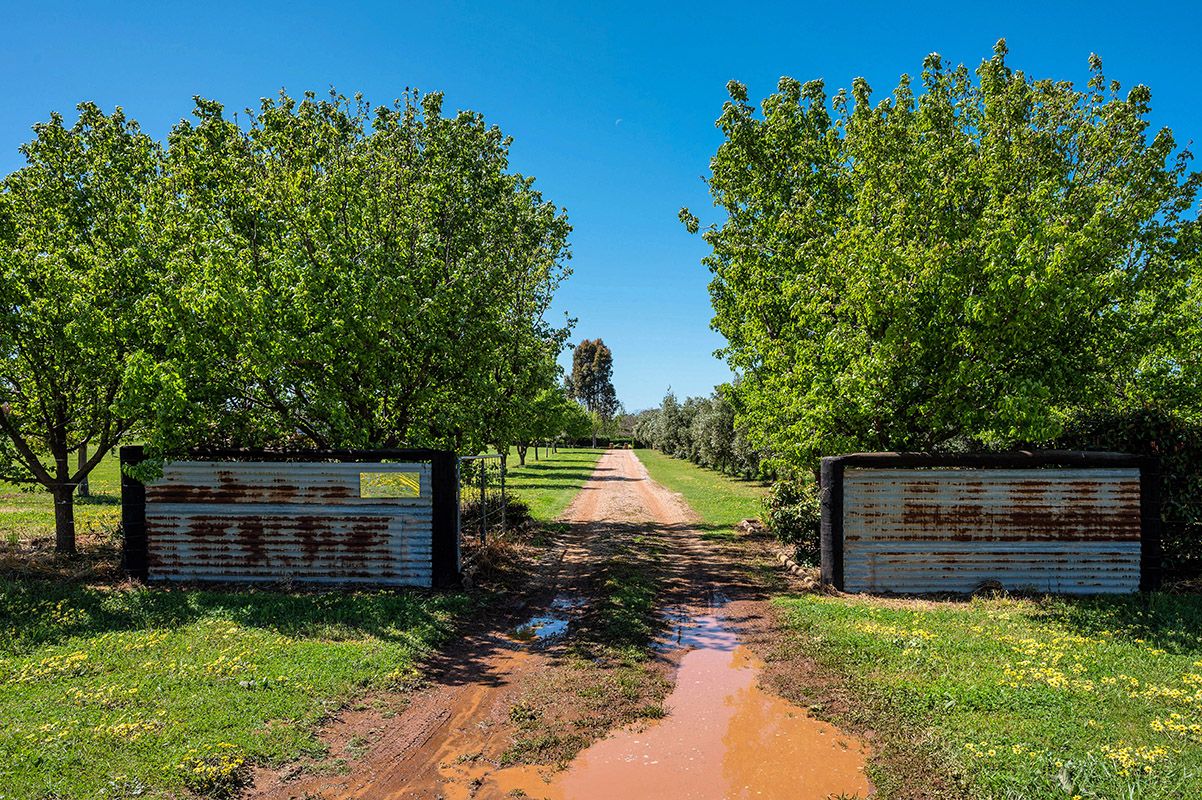 49 Zimmler Lane, Gulgong NSW 2852, Image 2