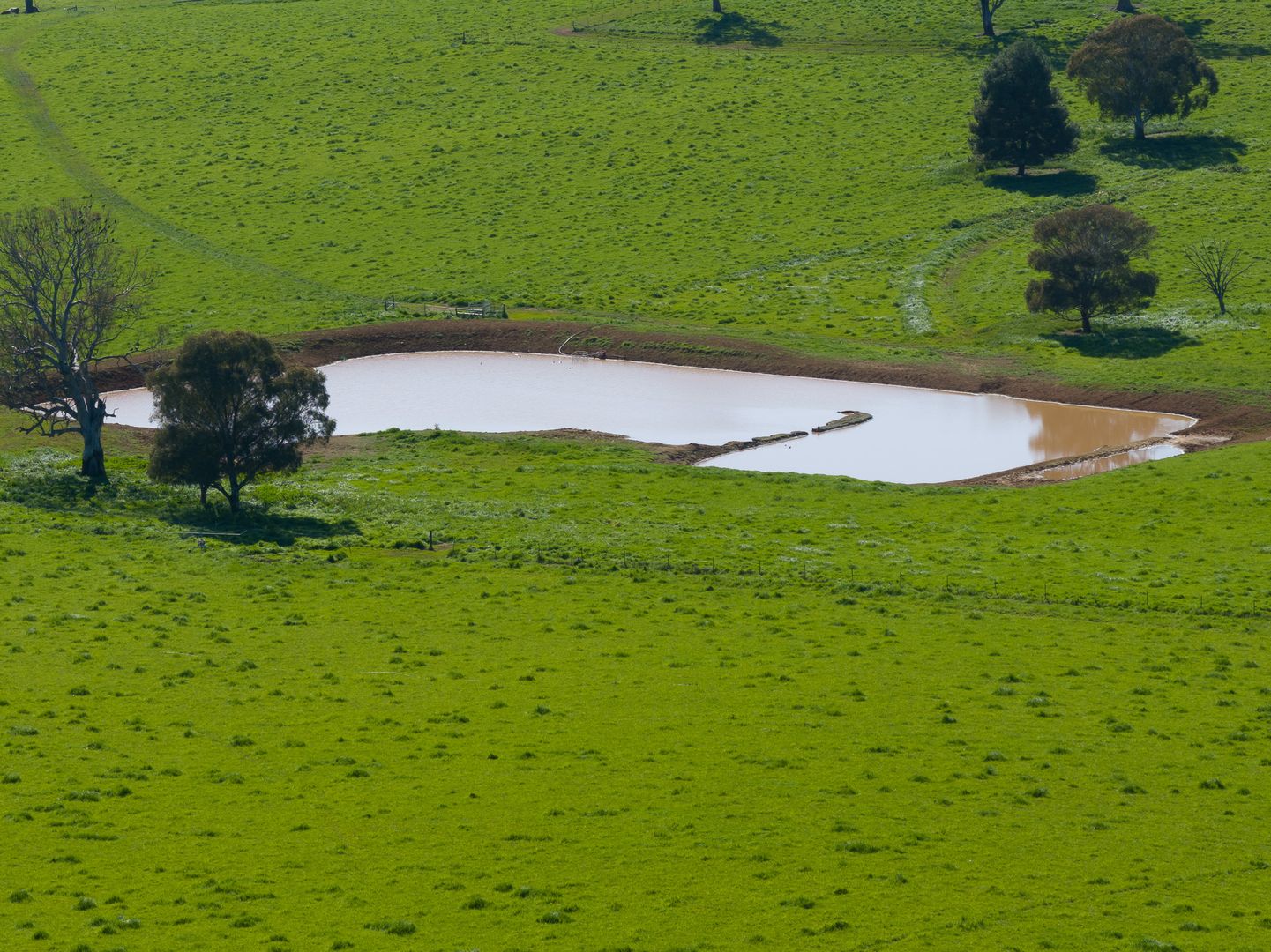 'Green Acres' 270 Jugiong Road, Cootamundra NSW 2590 Farm for Sale