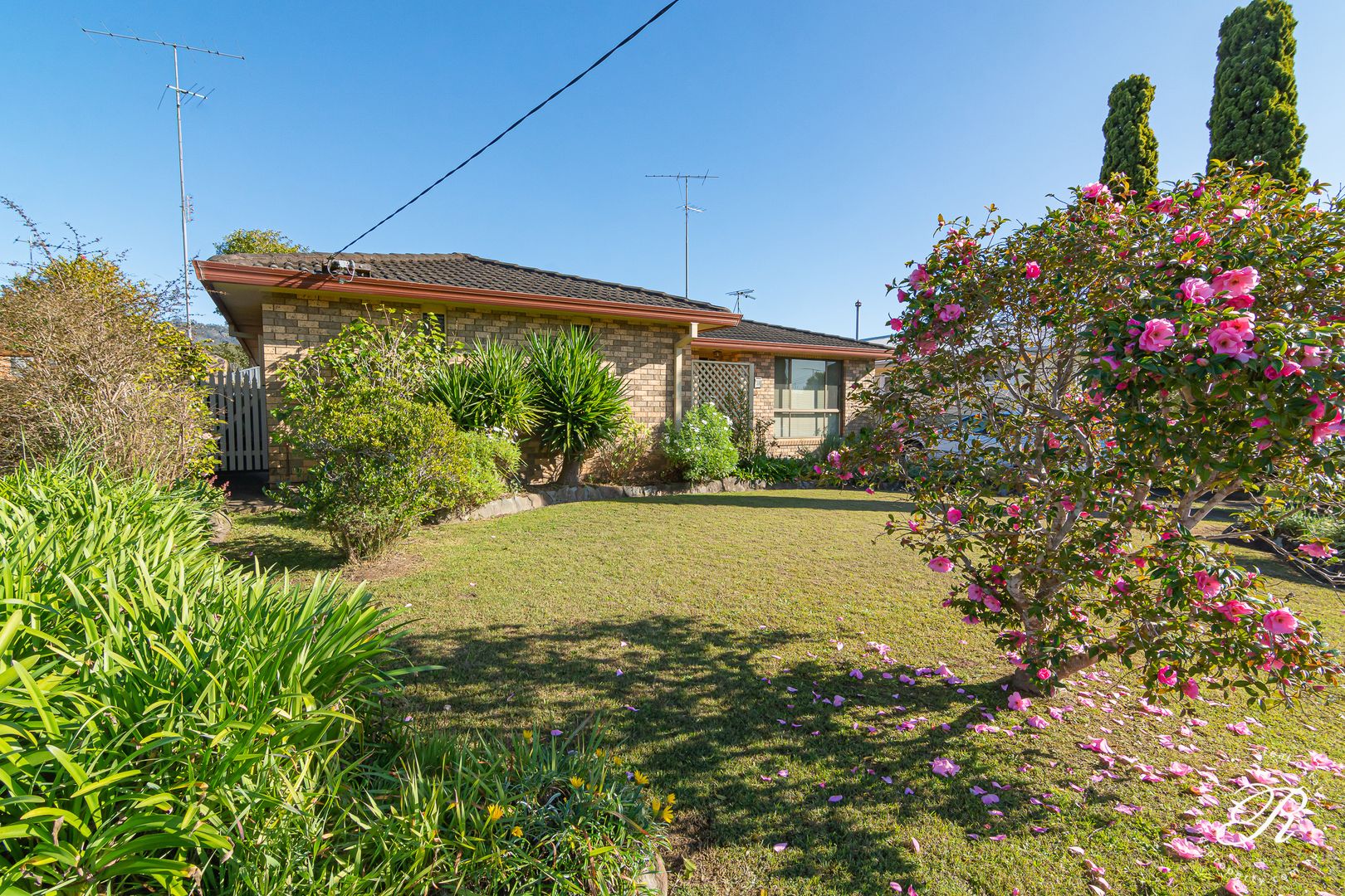 28 Frances Street, Gloucester NSW 2422, Image 2