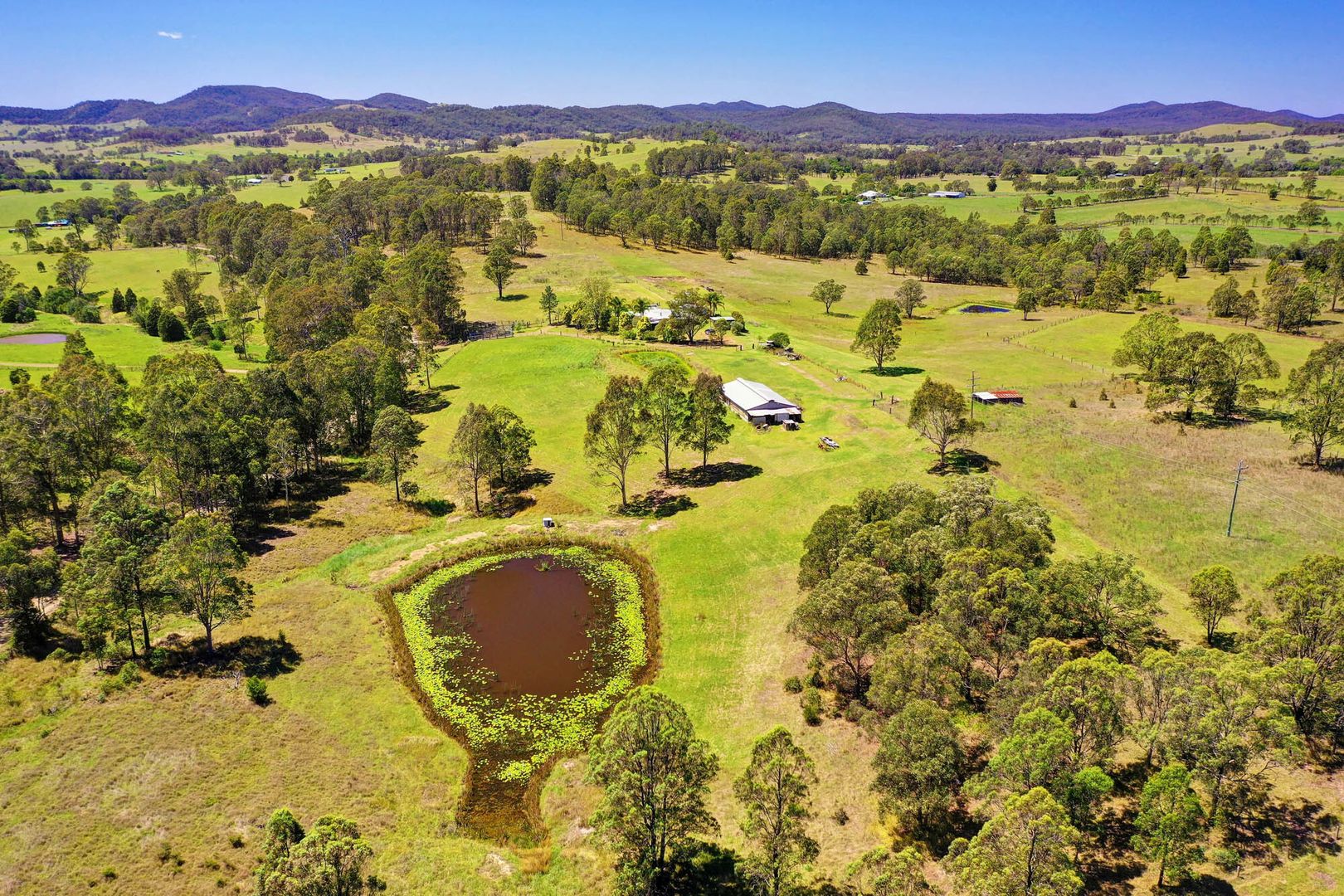 1431 Willina Rd, Bunyah NSW 2429, Image 2