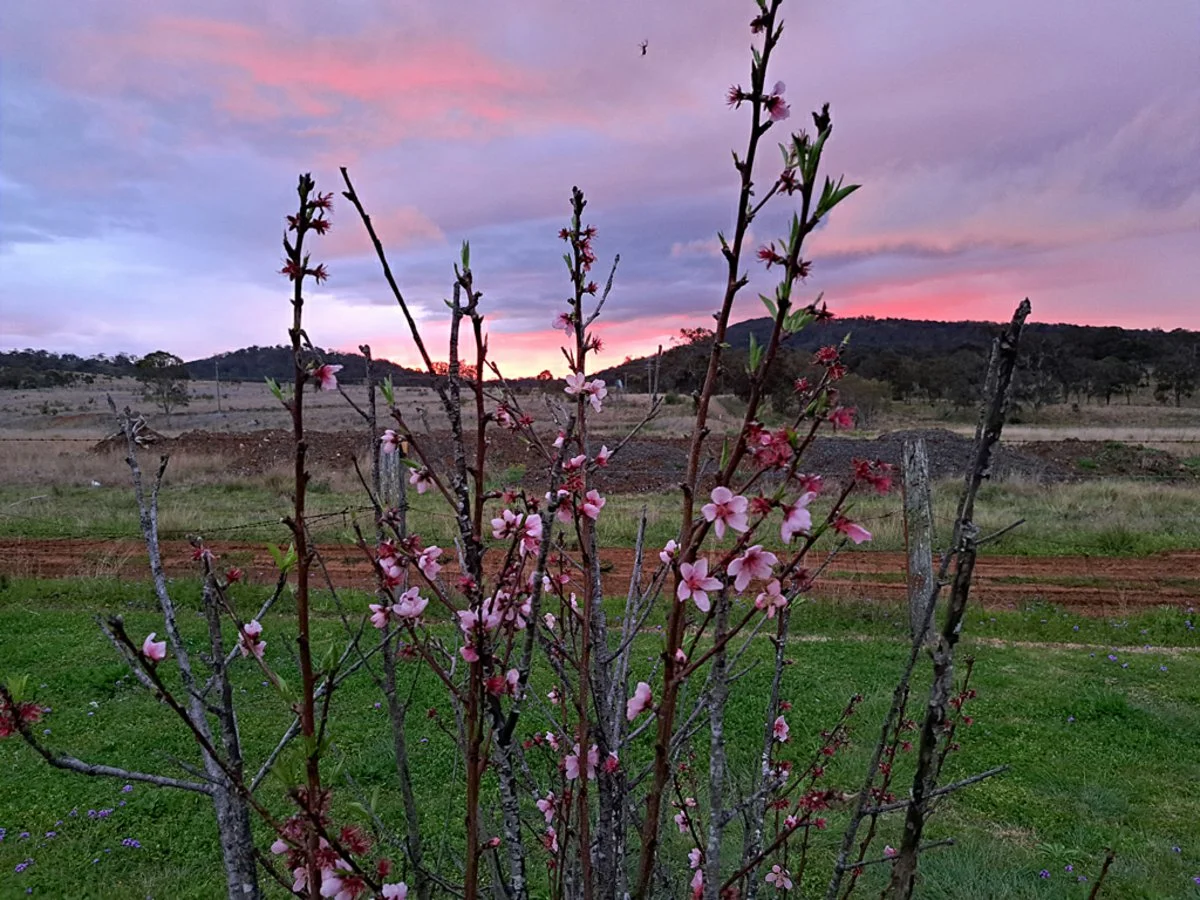 Additional image 7 of 55 Blakes Road, Wildash QLD 4370