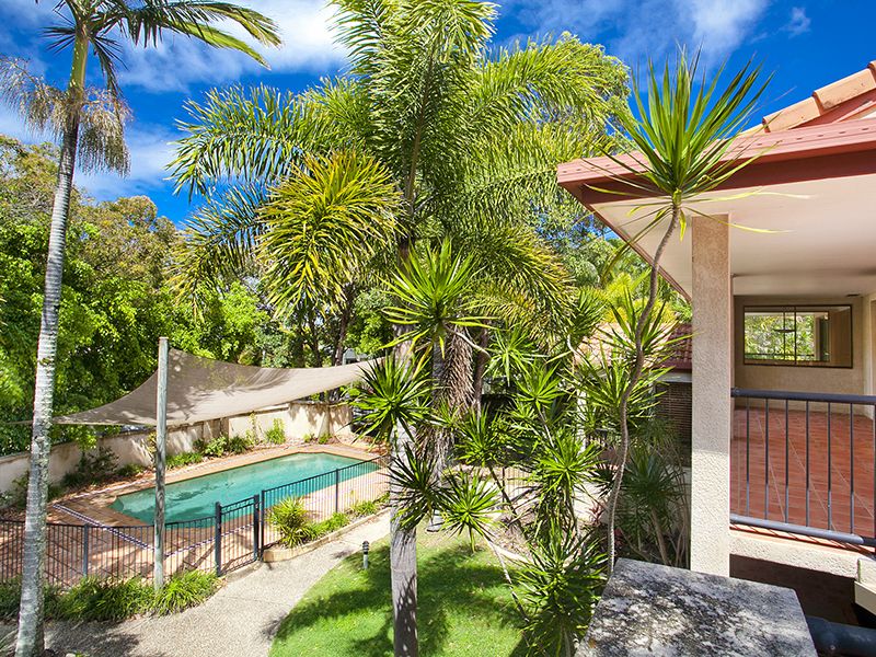 27 Dwyer Street, Sunshine Beach QLD 4567, Image 1