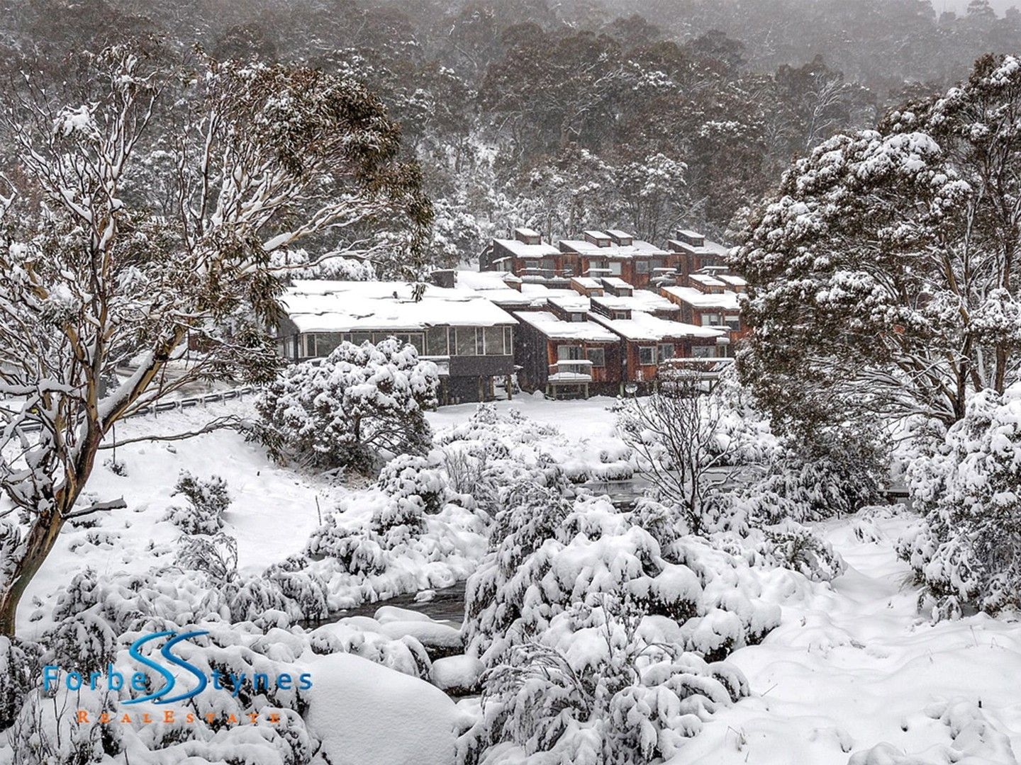 37/Riverside Cabin Diggings Terrace, Thredbo NSW 2625, Image 0