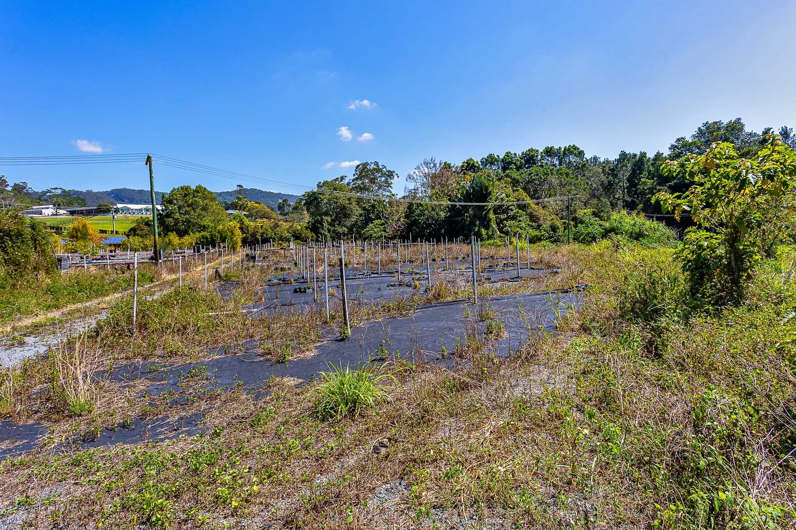 Additional image 21 of 3 Mark Way, Mudgeeraba QLD 4213