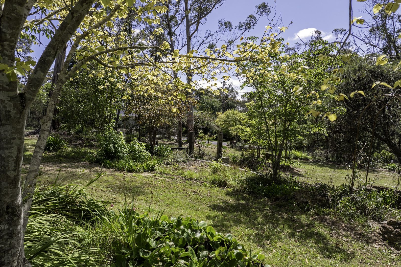 Lot 3 / 5 Chatsworth Road, Mount Victoria NSW 2786, Image 1