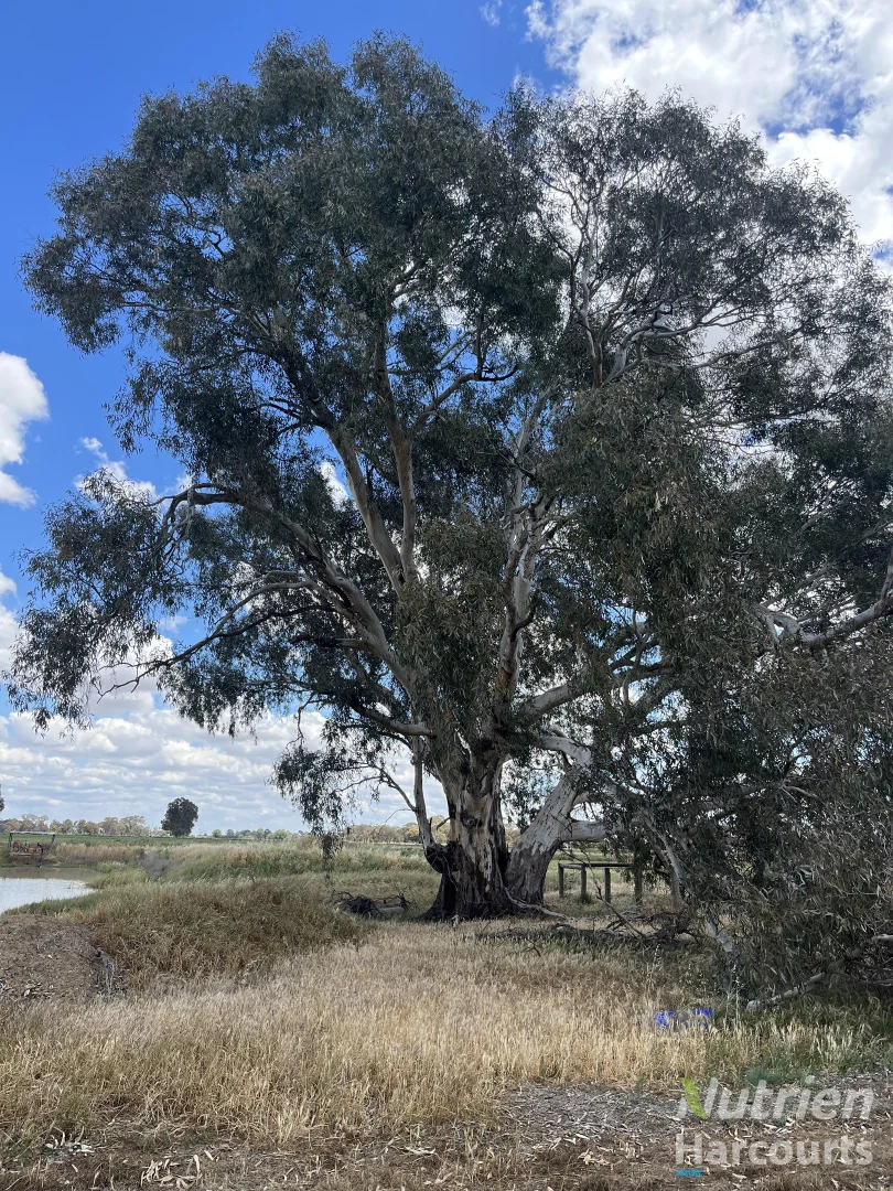 Image 14