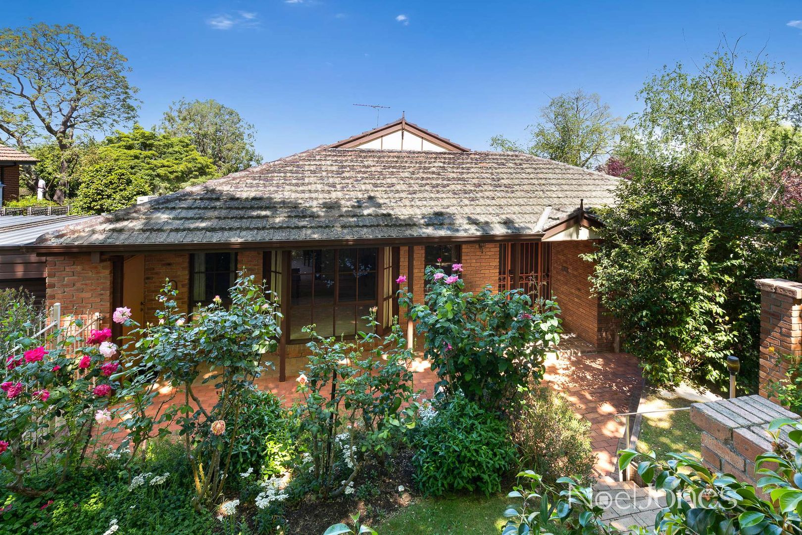 30 Erasmus Street, Surrey Hills Property History & Address Research