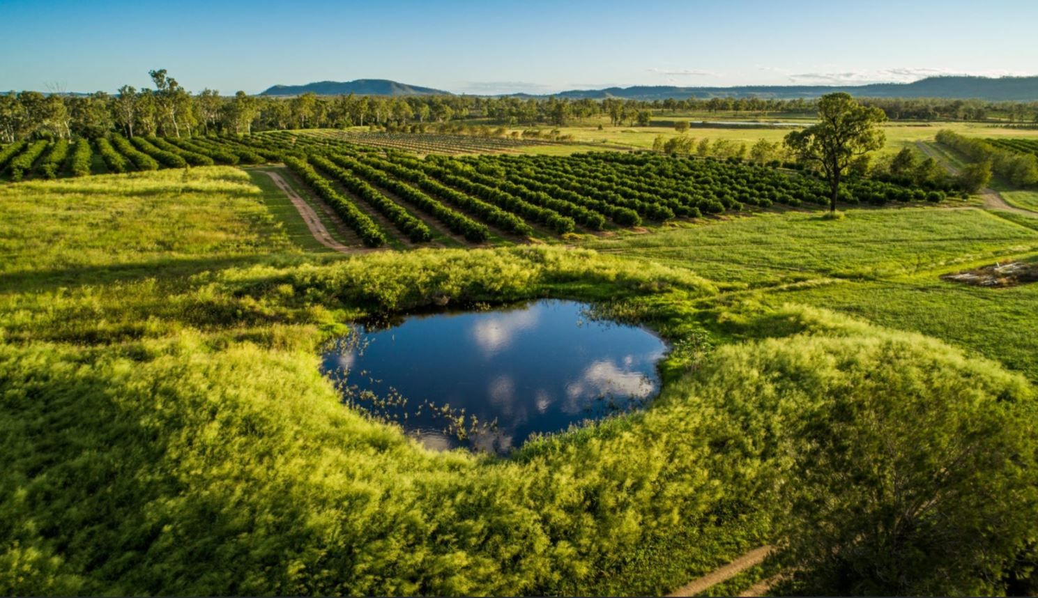 Reids Creek QLD 4625, Image 1