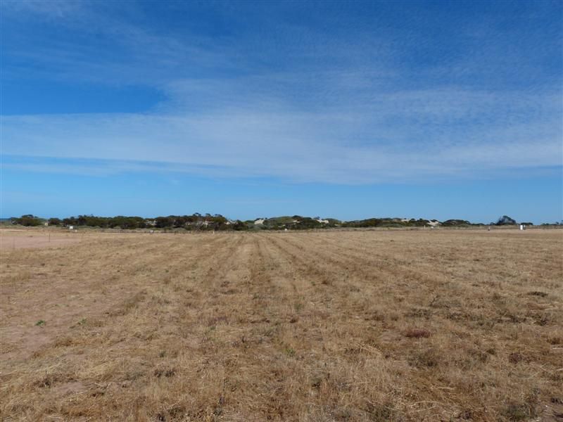 Lot 284 Bosanquet Boulevard, Ceduna SA 5690, Image 0