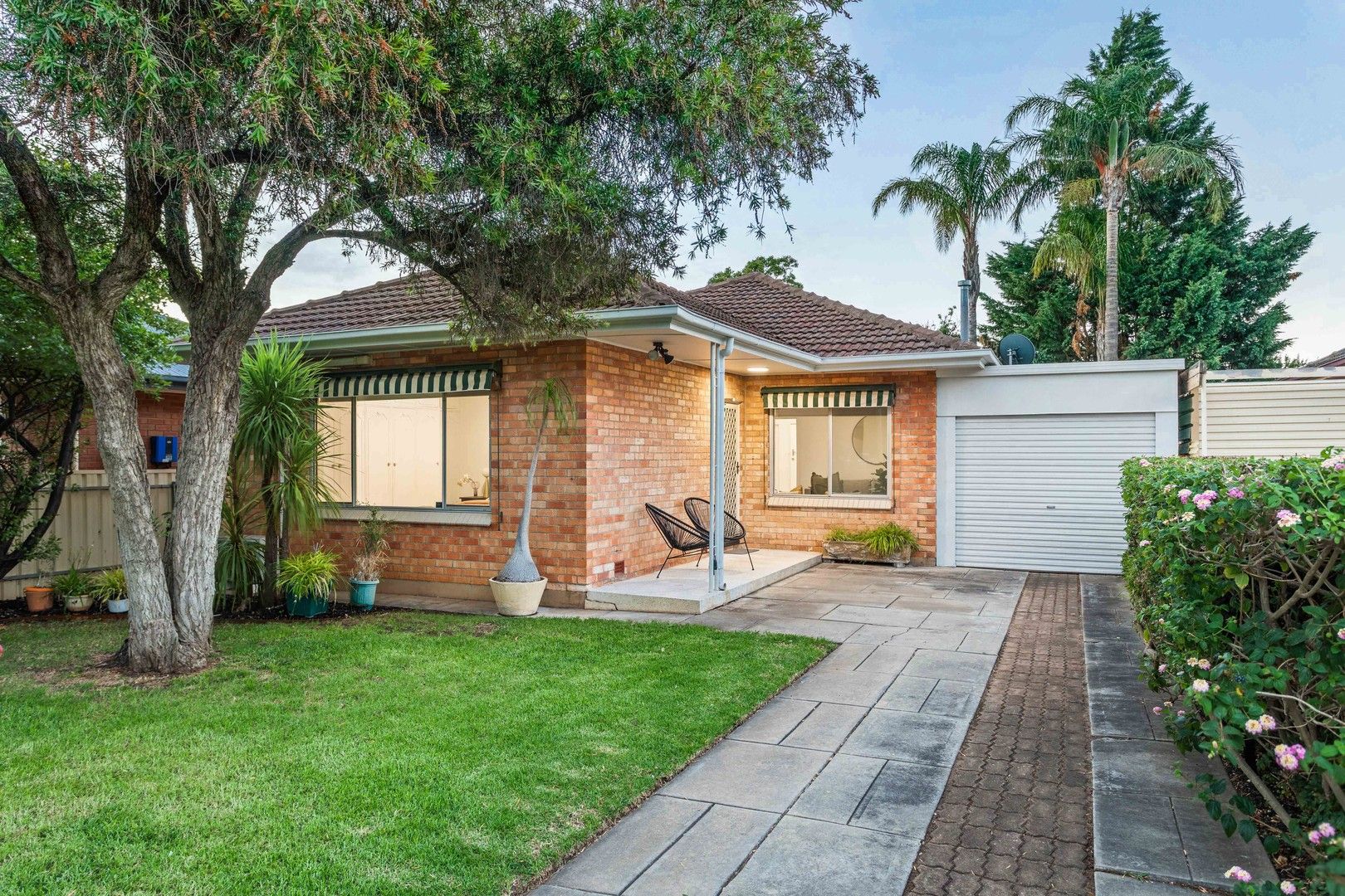 29 Allison Street, Ascot Park SA