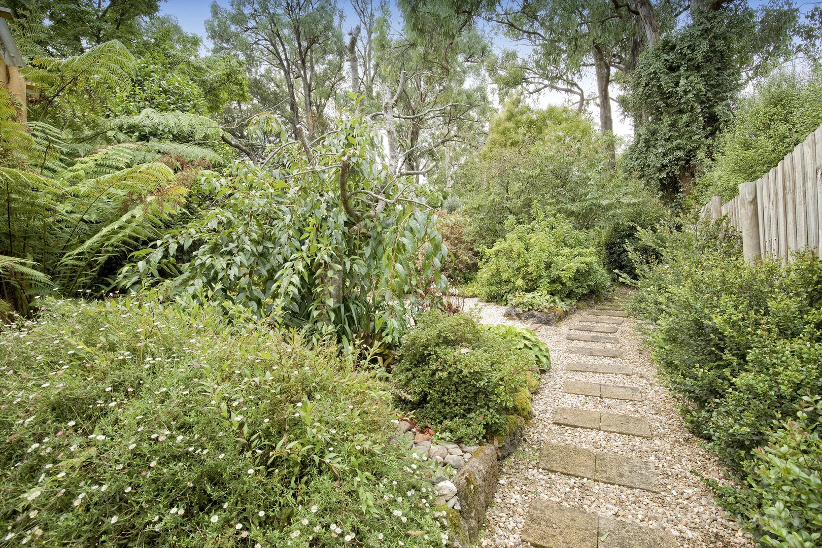 Image 14