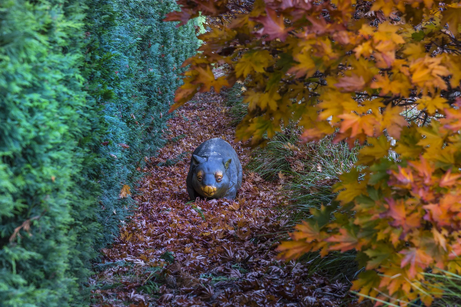 Image 6