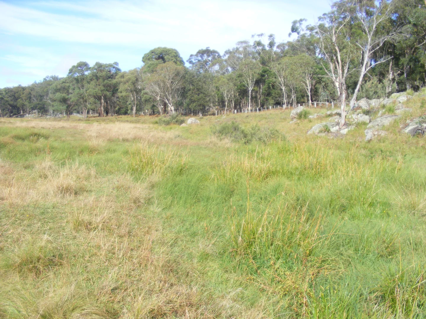Image 13