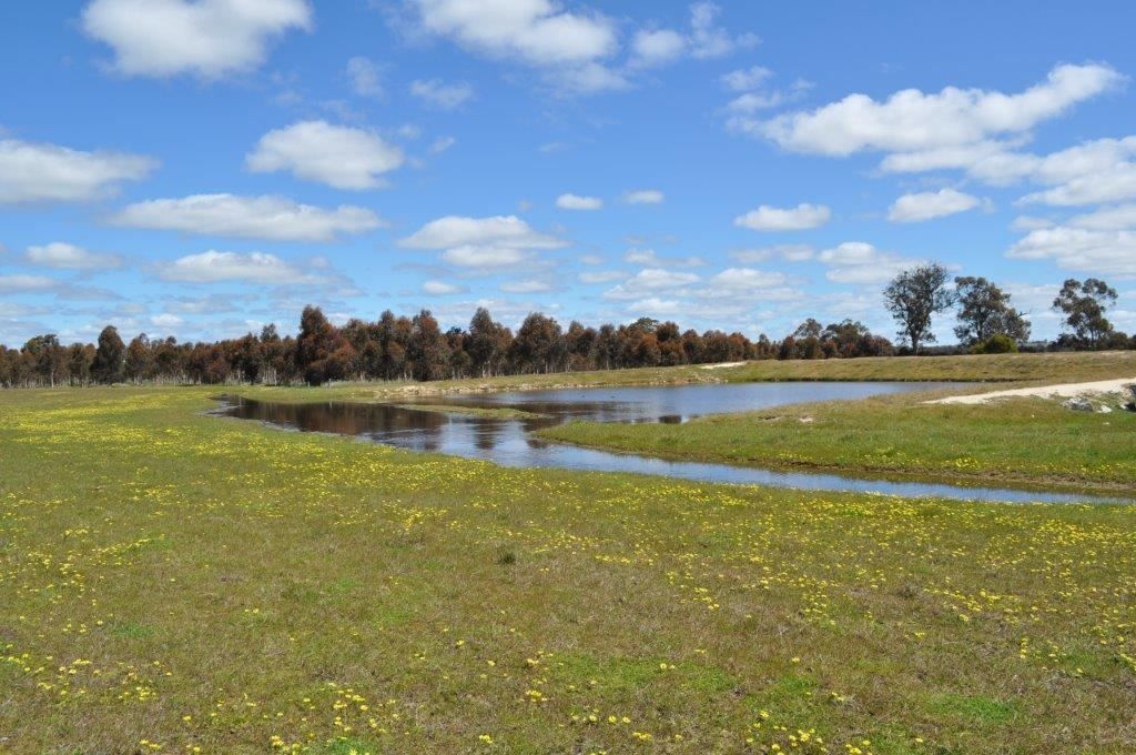 ' South Block', Kojonup WA 6395, Image 2