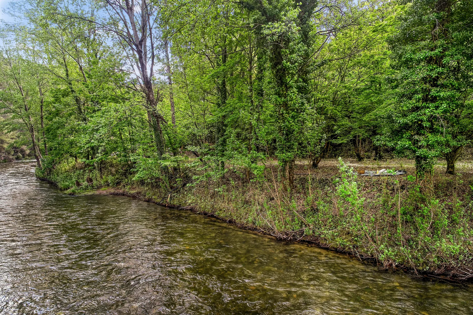 Image 15