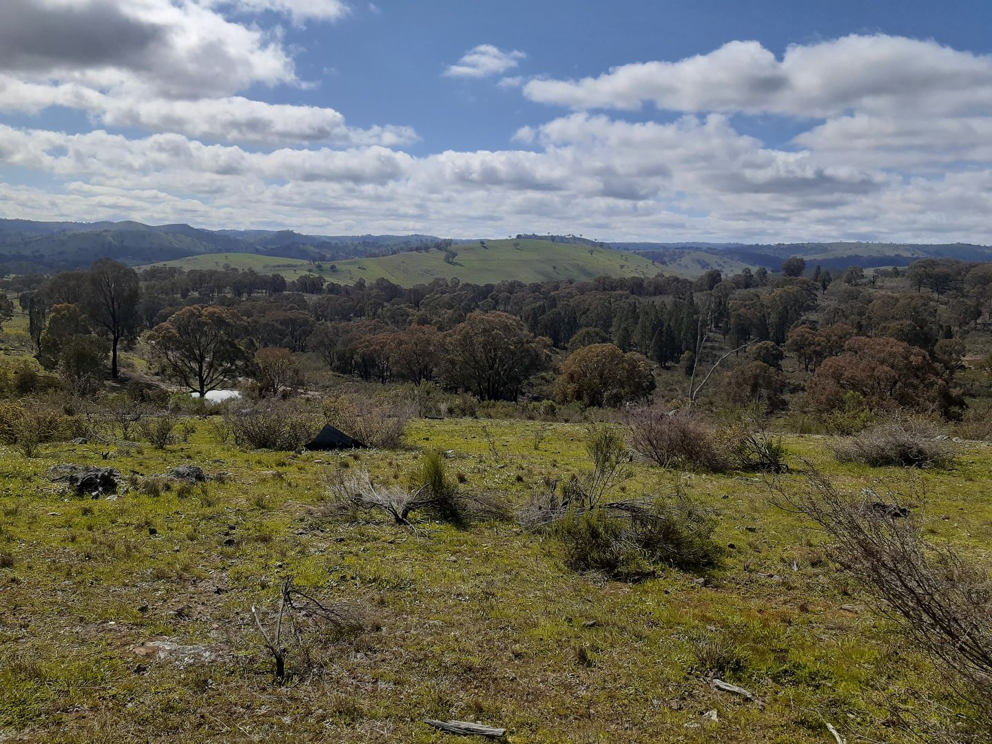 Sold 2587 Taylors Flat Dr, Taylors Flat NSW 2586 on 15 Oct 2020