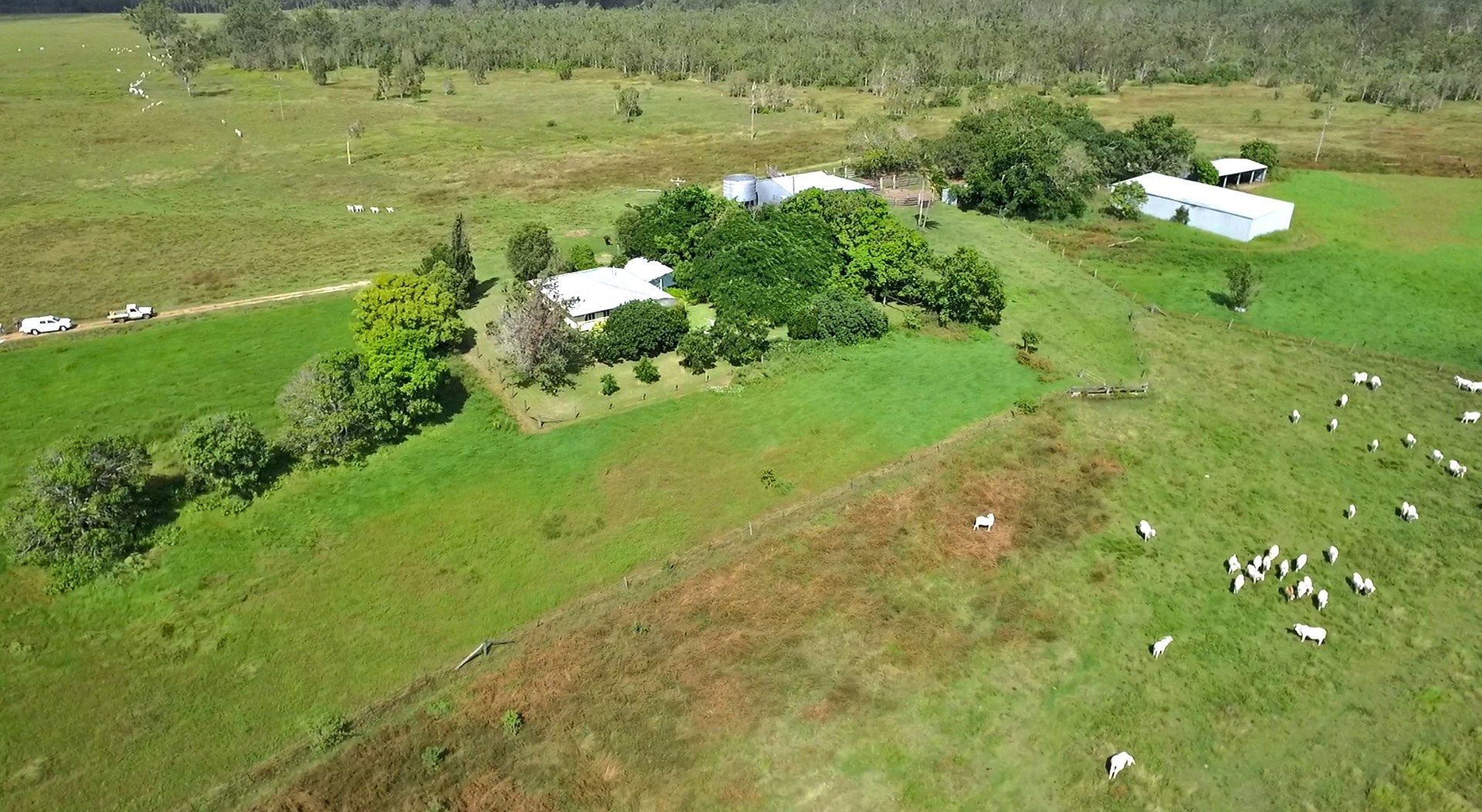 145 Midge Point Road, Bloomsbury QLD 4799 House for Sale 3,000,000