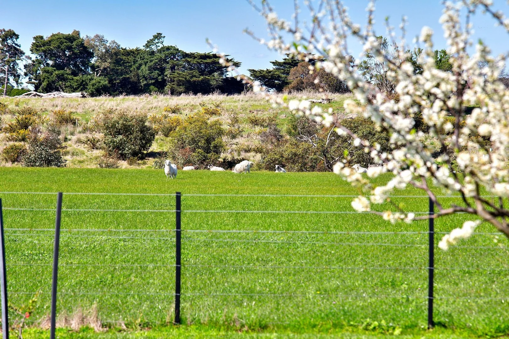 Additional image 24 of 535 Pettavel Road, Freshwater Creek VIC 3217