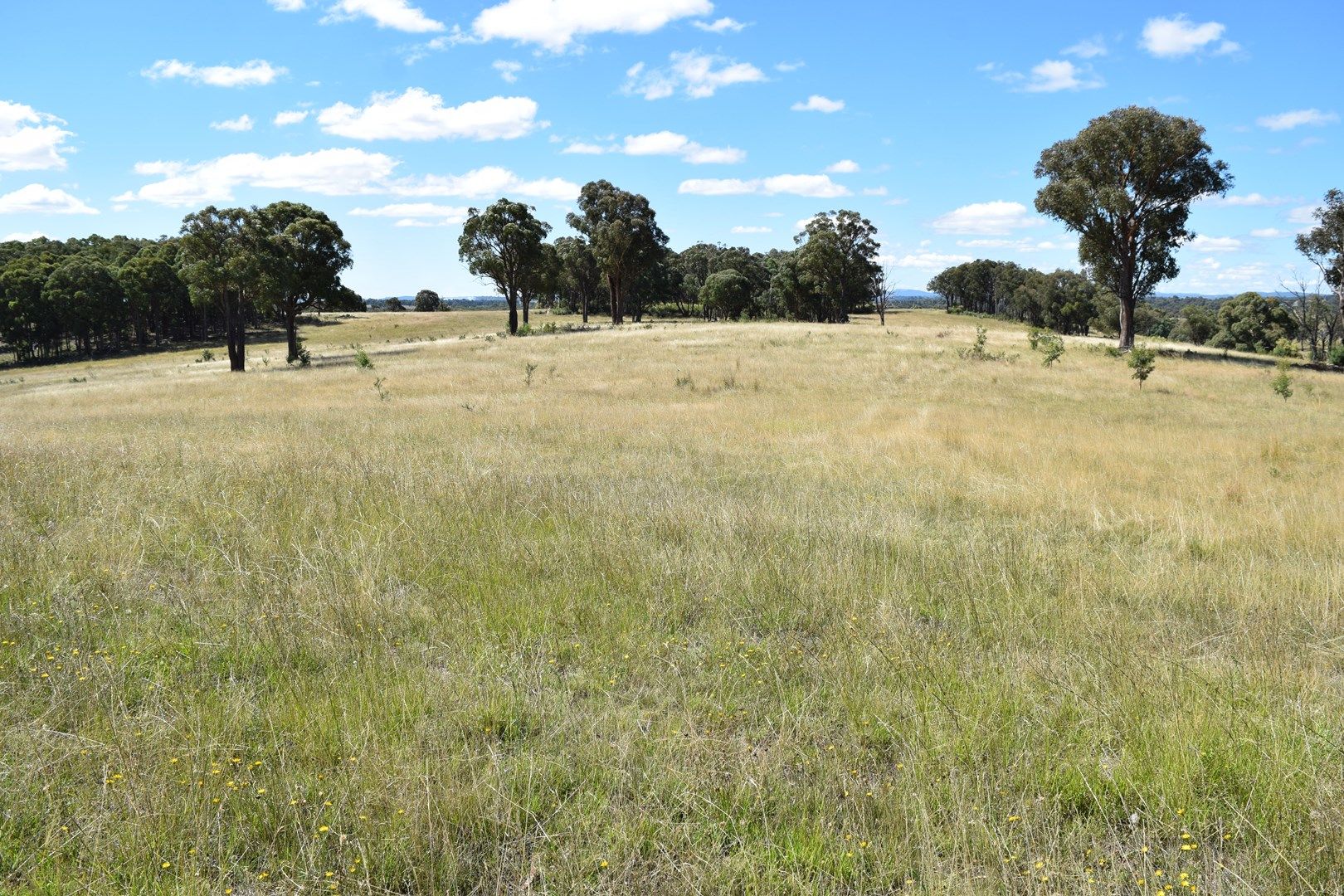 Big Mill 523 Westbrook Road, Guyra NSW 2365, Image 0