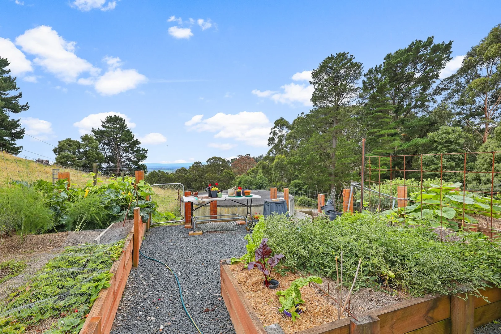 Additional image 21 of 244 Mirboo North-Trafalgar Road, Trafalgar South VIC 3824