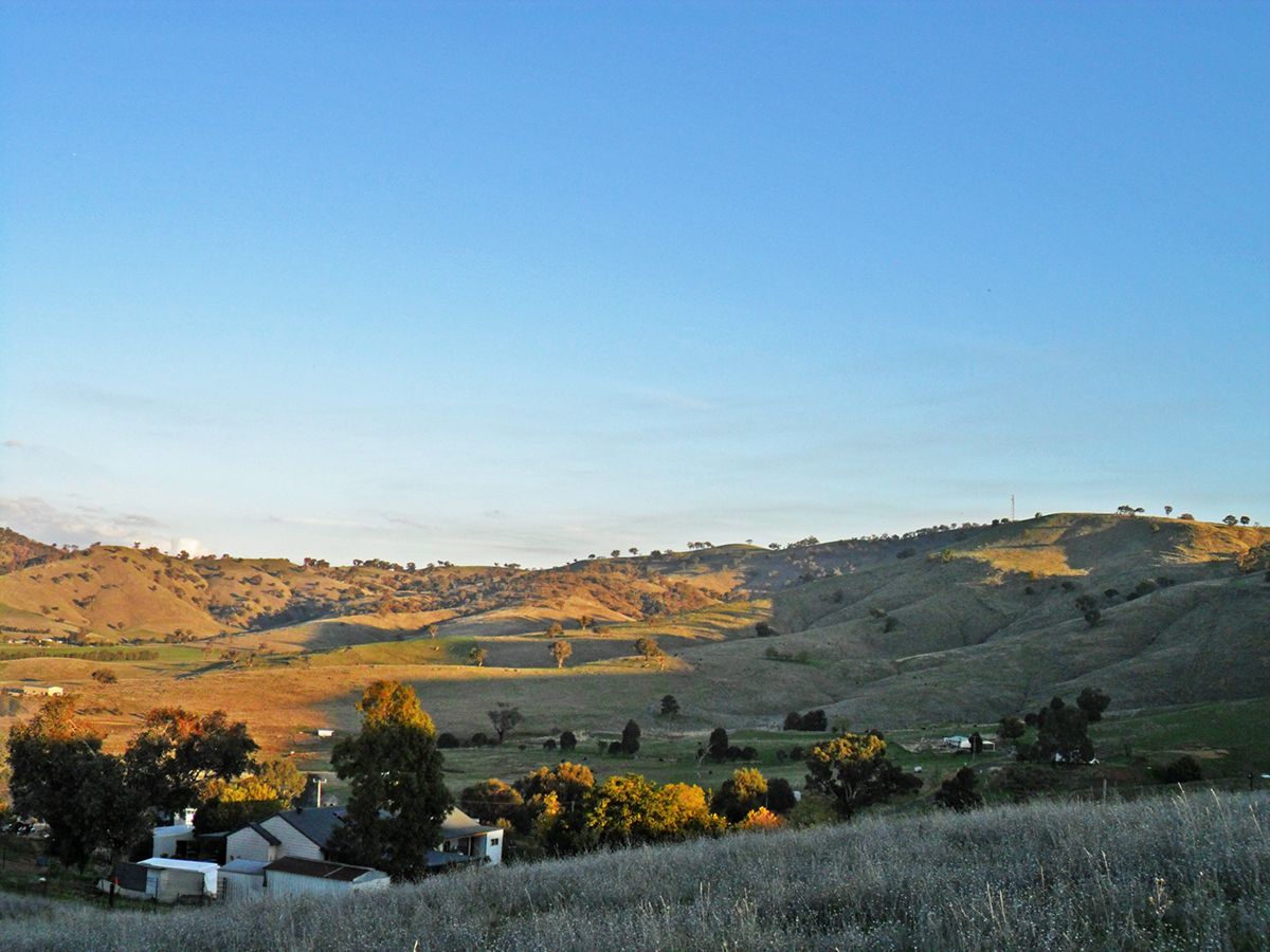 Lot 4 Springfield Lane, Gundagai NSW 2722, Image 2