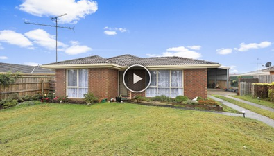 Picture of 11 Colli Drive, NEWBOROUGH VIC 3825