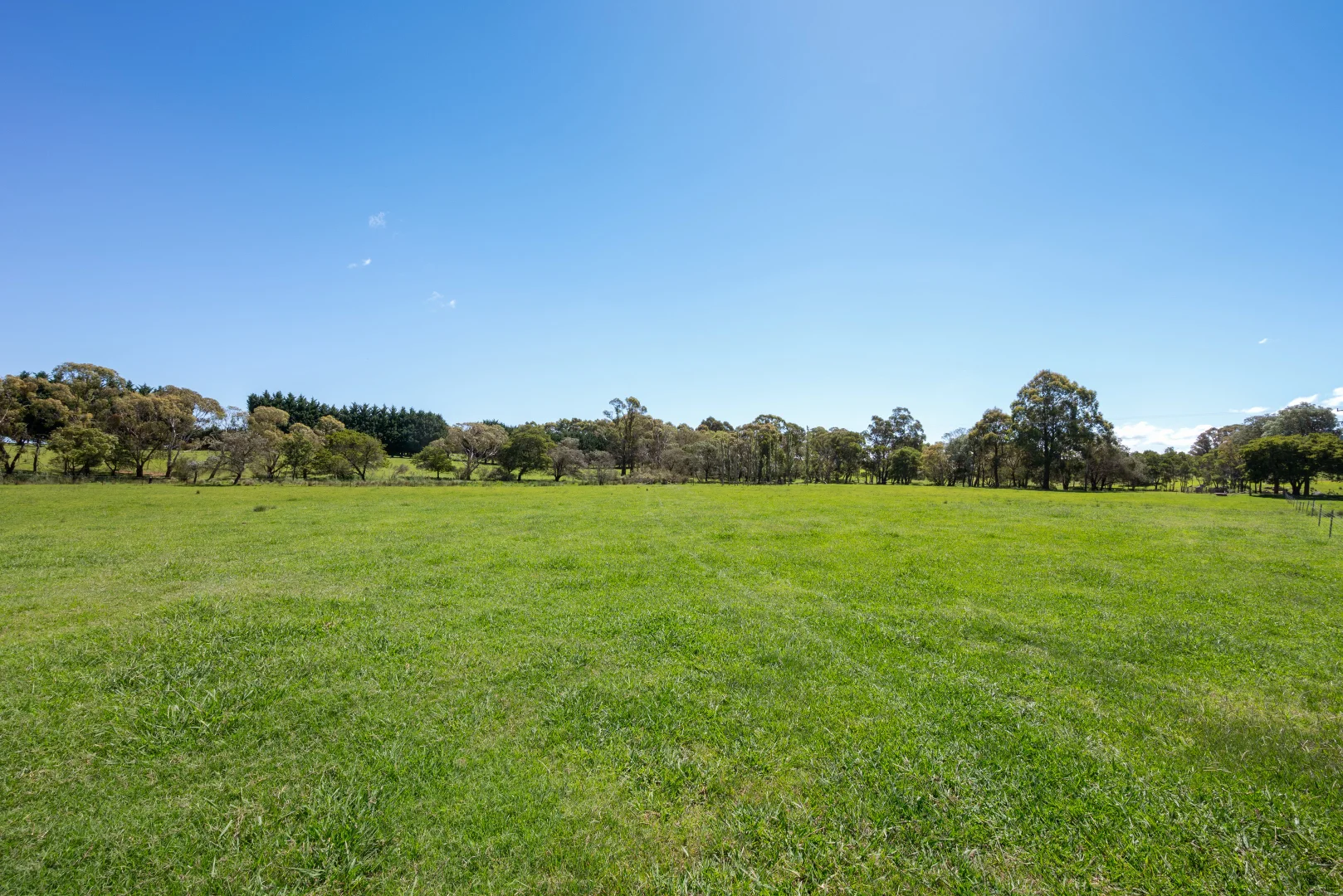 Additional image 38 of 438 Sawyers Ridge Road, Braidwood NSW 2622