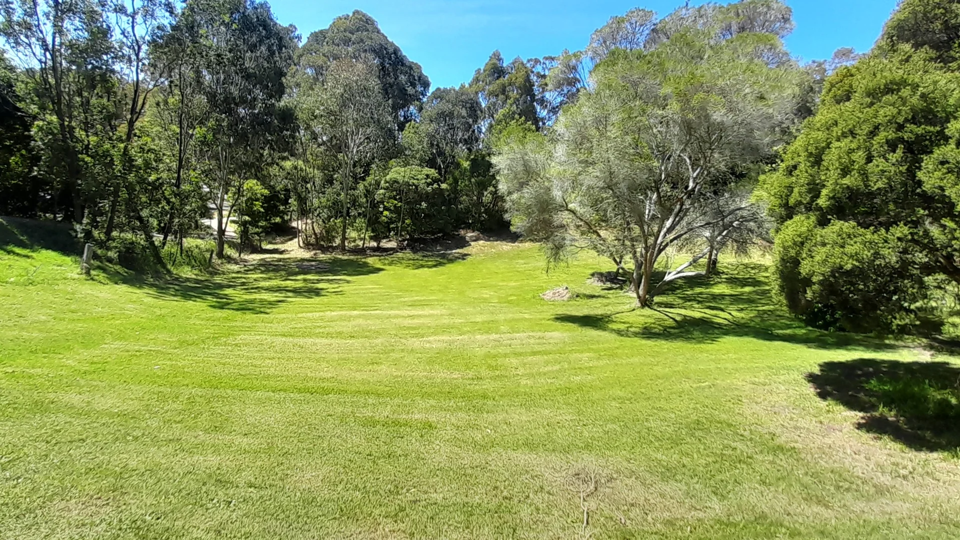 Image 13