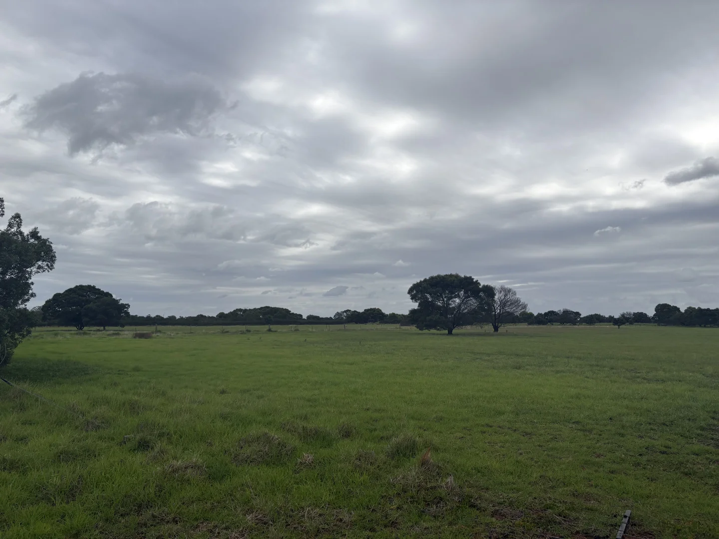 Image 9