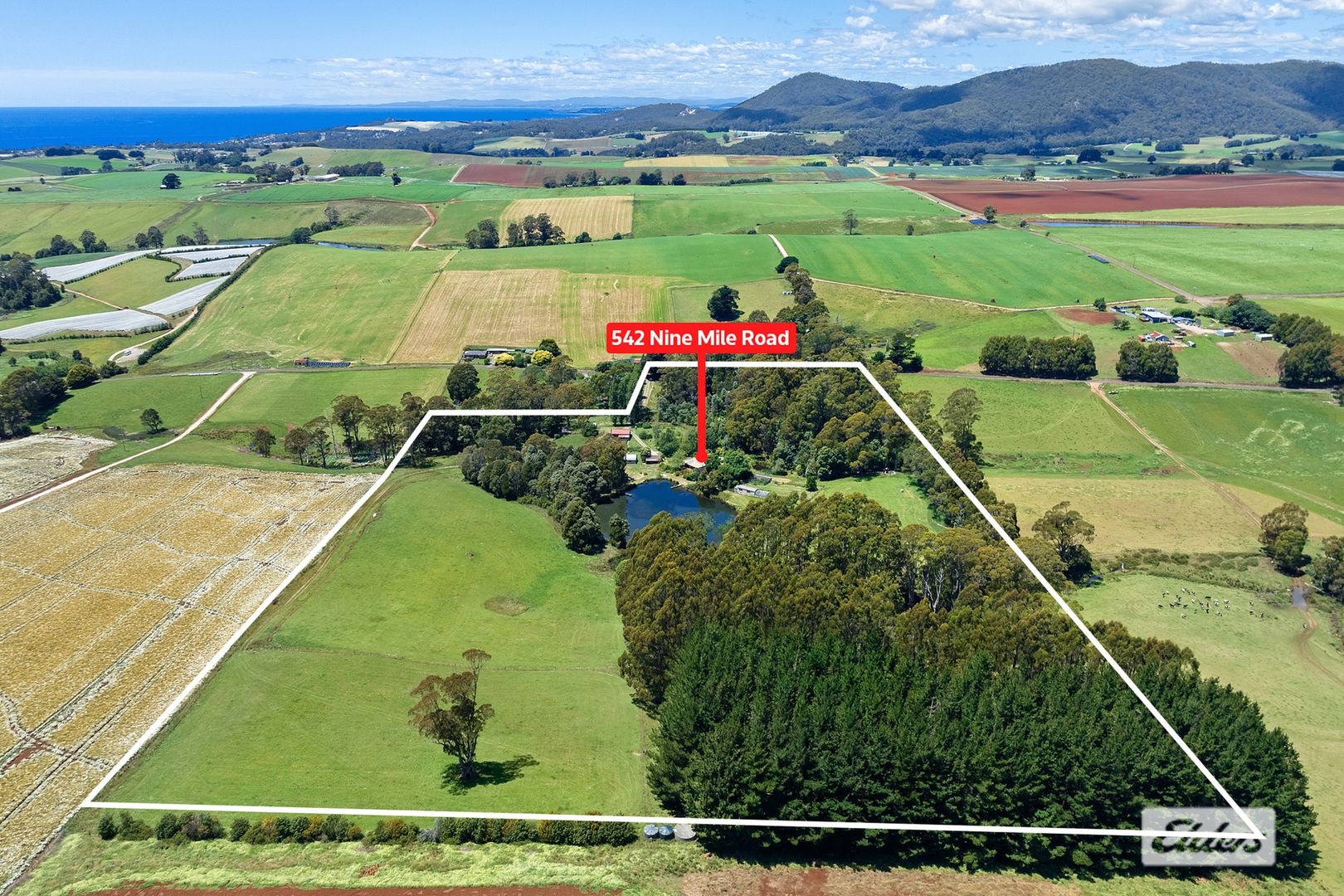 542 Nine Mile Road, West Pine TAS 7316, Image 1