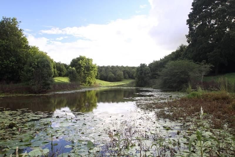 100 Fraser Road, Dunoon Property History & Address Research Domain