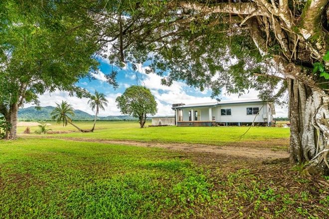 Picture of 190 Cowley Creek Road, COWLEY CREEK QLD 4871