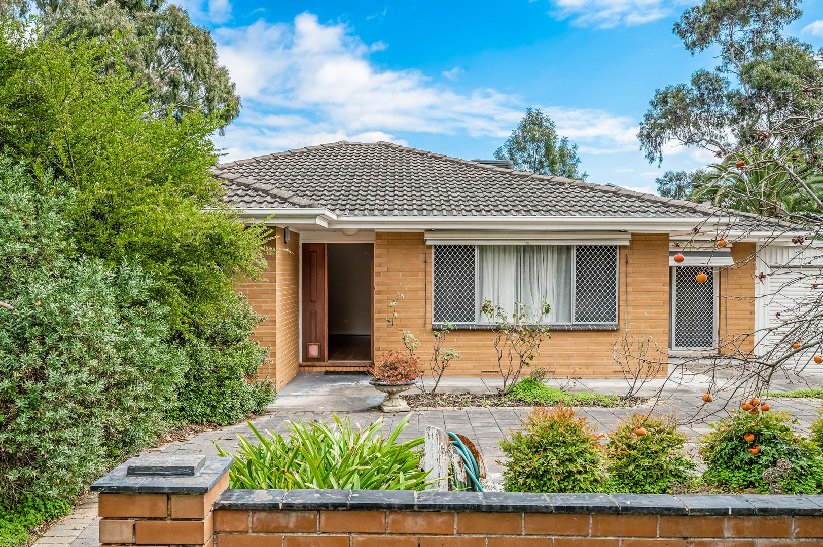 2 Oleander Drive, Banksia Park SA 5091, Image 1