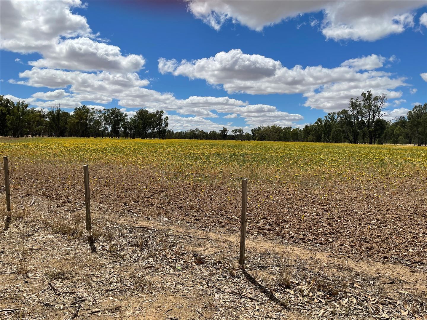 . McDonald Road, Picola VIC 3639, Image 1