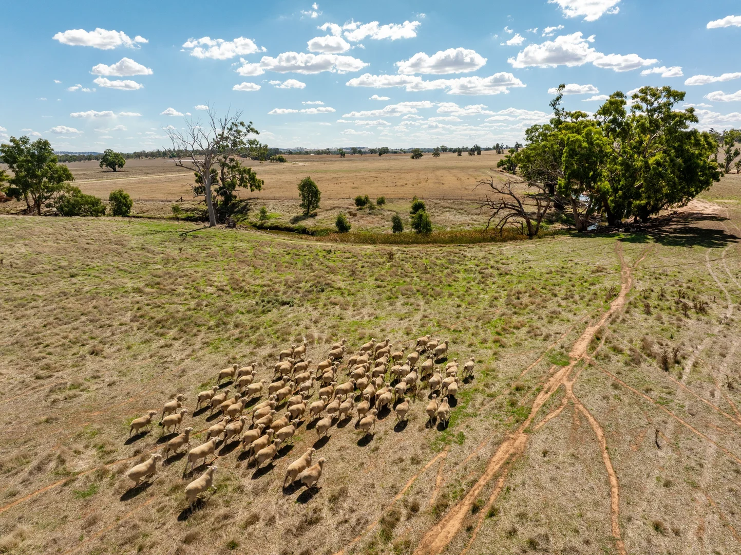 Additional image 3 of 326 Downside Road, Downside NSW 2650
