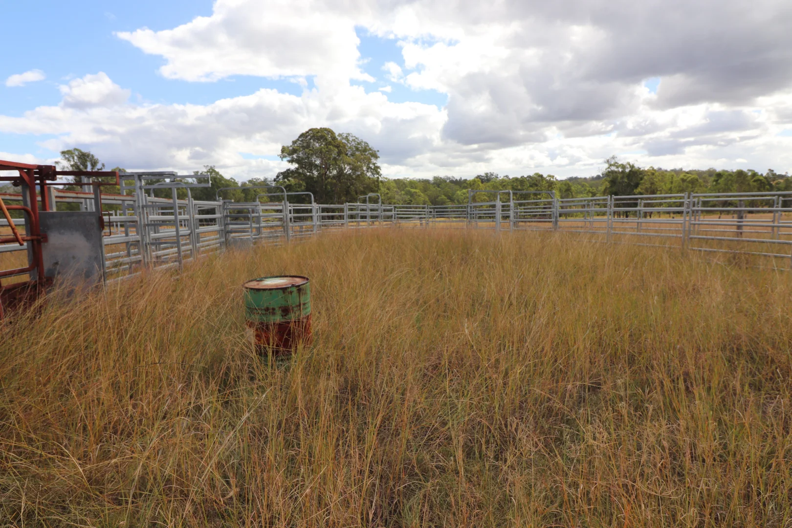 Image 12