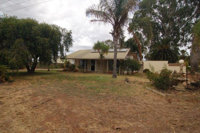 Picture of 776 Government Road, RENMARK WEST SA 5341