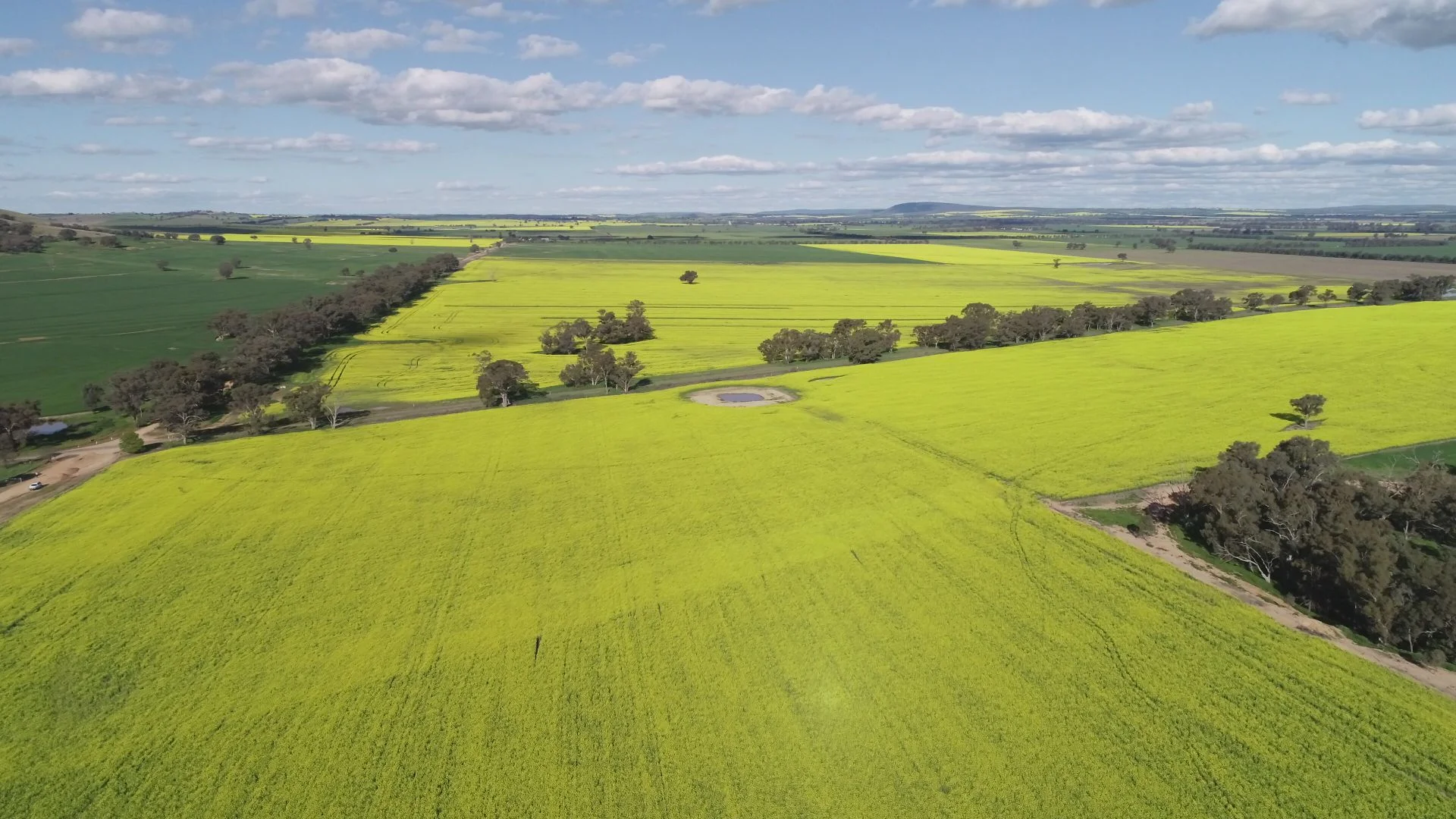 Additional image 3 of 702 Gerrybang Road, Grenfell NSW 2810