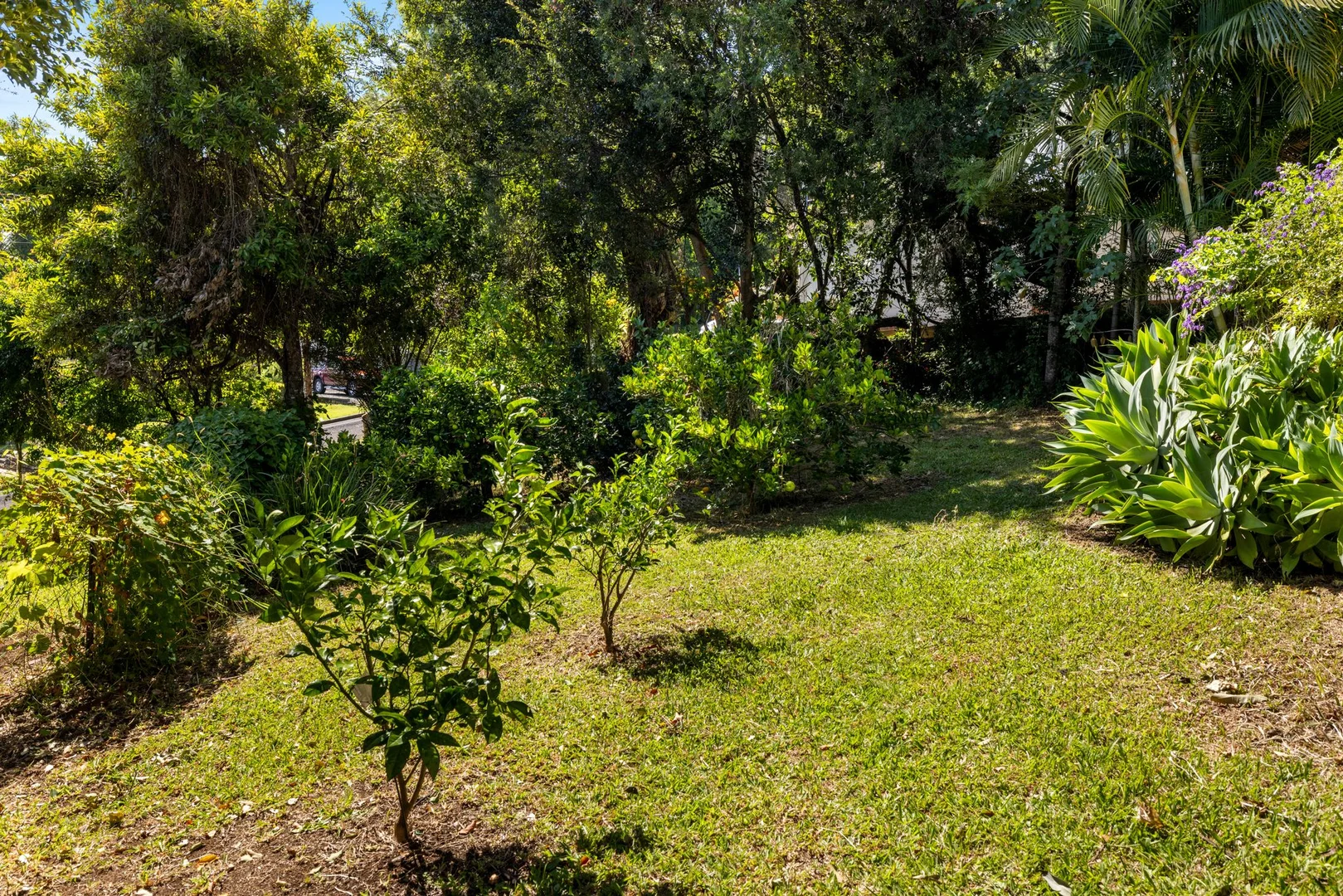 Additional image 17 of 21 Fairy Street, Kyogle NSW 2474