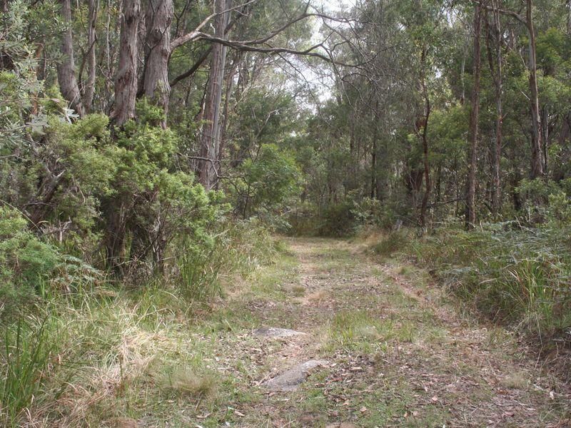 Lot9. DP862049 Aqua Park Road, MOUNT MITCHELL NSW 2365, Image 0