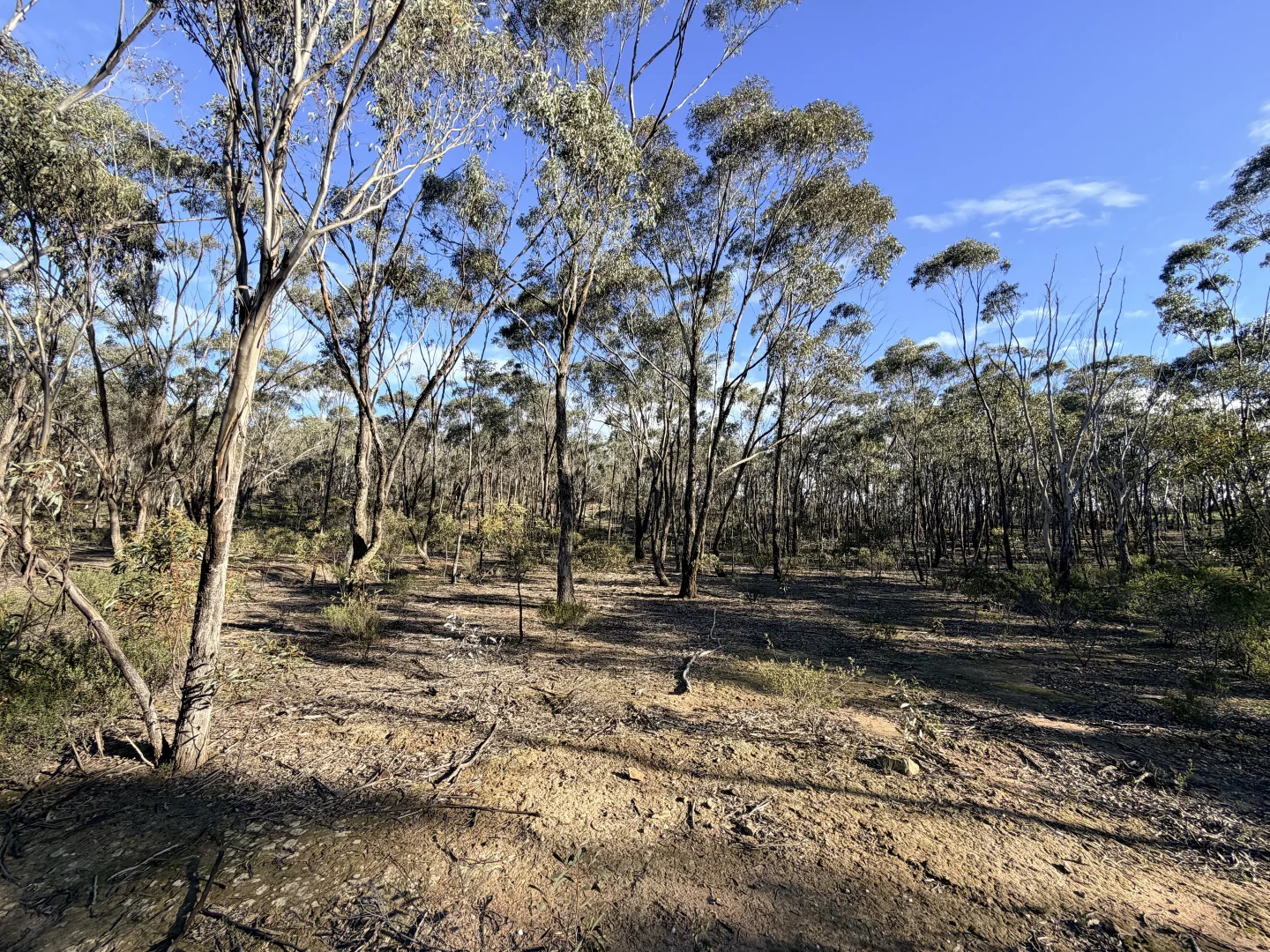 Image 13