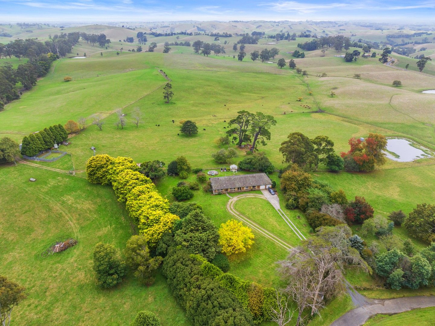 2775 Drouin-Korumburra Road, Poowong East VIC 3988, Image 0