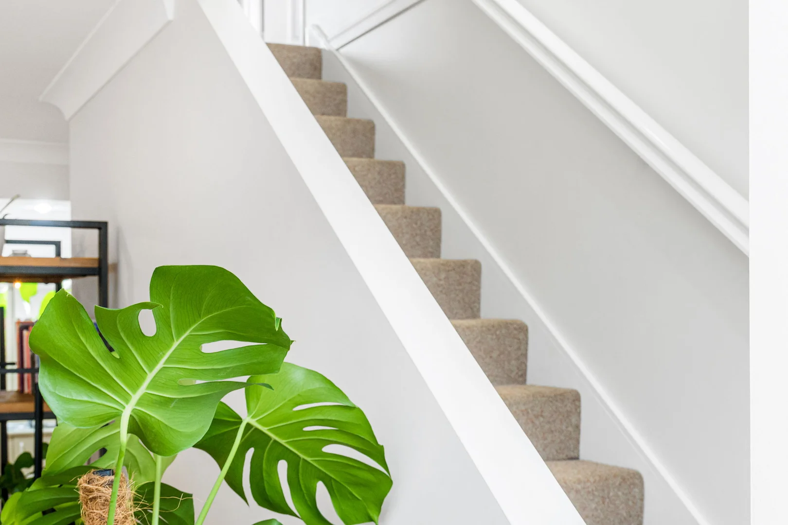 Additional image 13 of 2/2 Seabrae Court, Pottsville NSW 2489