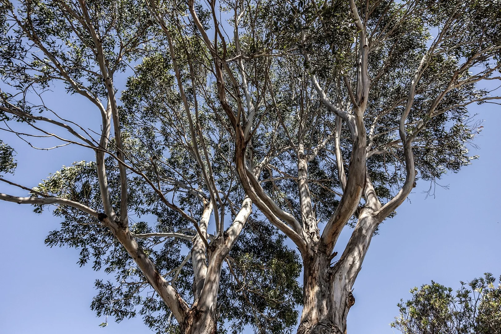 Additional image 17 of 19 Kinloch Avenue, Jan Juc VIC 3228