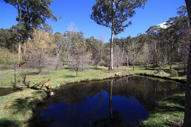 Picture of 791 Kennedy's Road, YAOUK NSW 2629