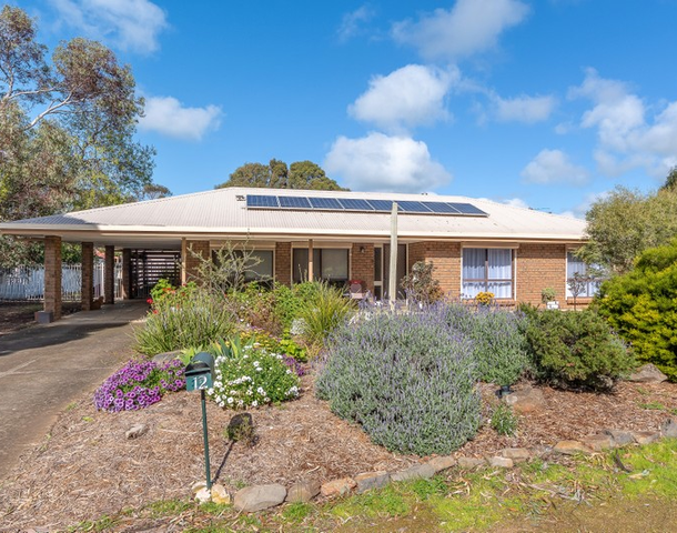 12 Burkett Drive, Strathalbyn SA 5255