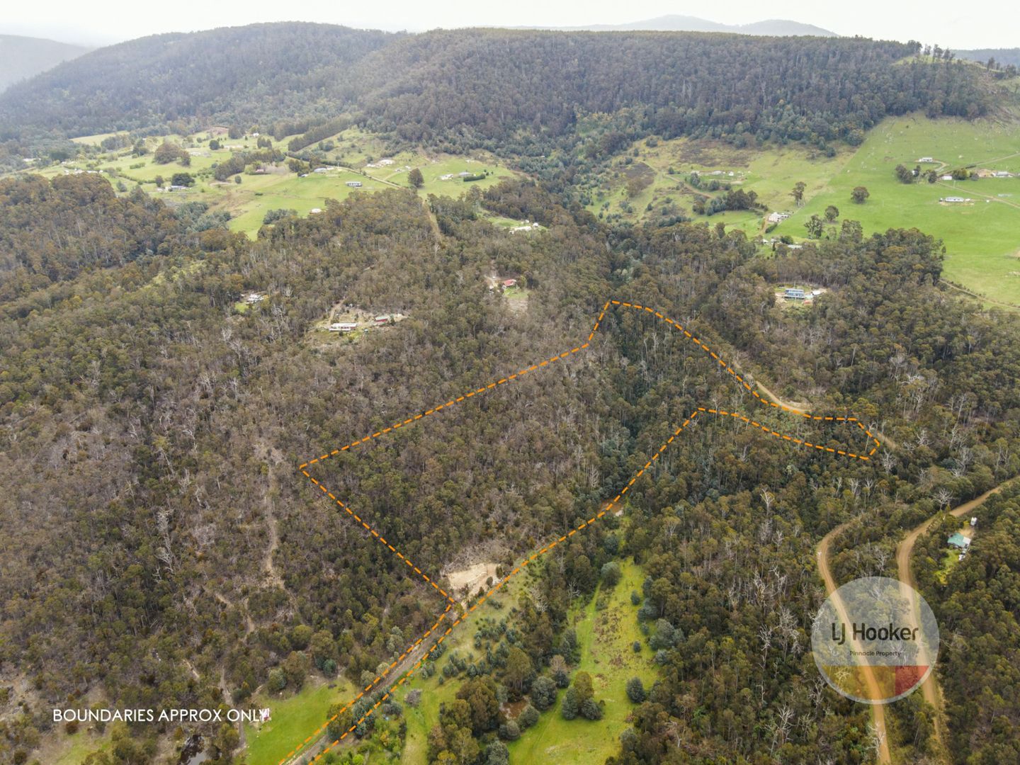 212 Lower Swamp Road, Lachlan TAS 7140, Image 1