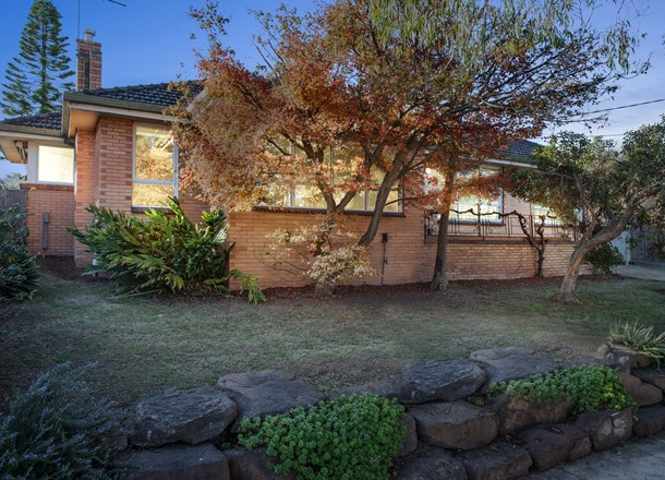 10 Douglas Avenue, Box Hill South VIC 3128