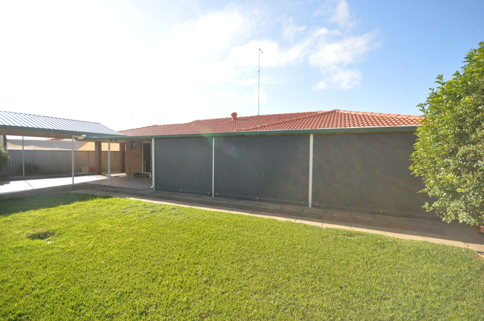 Image 19