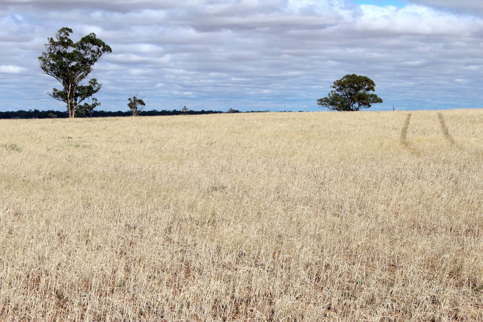 Warracknabeal VIC 3393, Image 2